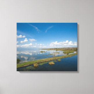 Apopka-Florida-See Leinwanddruck
