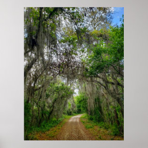 Apopka-Loop-Weg, Florida Poster