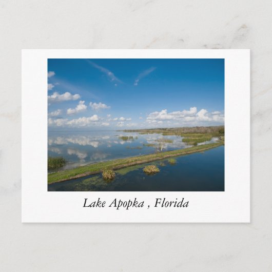 Apopka-See, Florida Postkarte (Vorderseite)