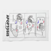 Apoptosis Biologie programmierter Zelltod Küchentuch (Horizontal)