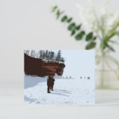 Apostel Islands National Lakeshore ICE CAVES Postkarte (Stehend Vorderseite)