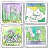 Apothecary Herbal Tee Jar Labels Chamomile Rose (Vorderseite)