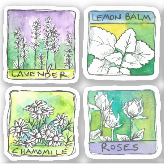 Apothecary Herbal Tee Jar Labels Chamomile Rose (Vorderseite)