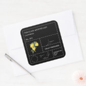 Apothecary Lemon Label Quadratischer Aufkleber (Umschlag)