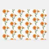 Apothekarisches Kräuterwaschpapier Flachblatt Set Geschenkpapier Set (Vorderseite 2)