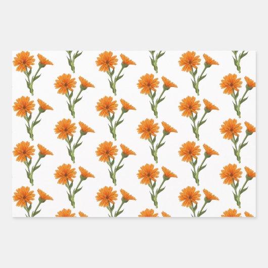 Apothekarisches Kräuterwaschpapier Flachblatt Set  Geschenkpapier Set (Vorderseite 2)