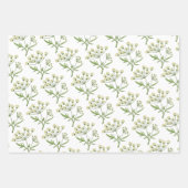 Apothekarisches Kräuterwaschpapier Flachblatt Set Geschenkpapier Set (Vorderseite)