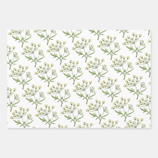 Apothekarisches Kräuterwaschpapier Flachblatt Set  Geschenkpapier Set (Vorderseite)