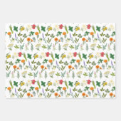 Apothekarisches Kräuterwaschpapier Geschenkpapier Set (Vorderseite 3)