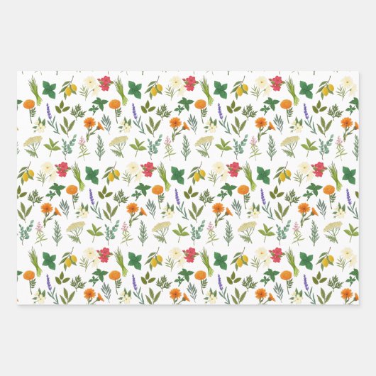 Apothekarisches Kräuterwaschpapier Geschenkpapier Set (Vorderseite 2)