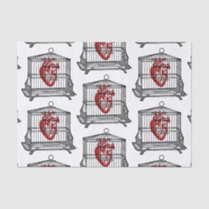 Apotheke Seidenpapier