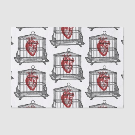 Apotheke Seidenpapier (Vorderseite)