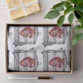 Apotheke Seidenpapier (Geschenk)