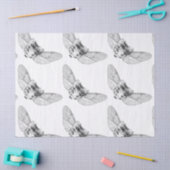 Apotheke Seidenpapier (Basteln)