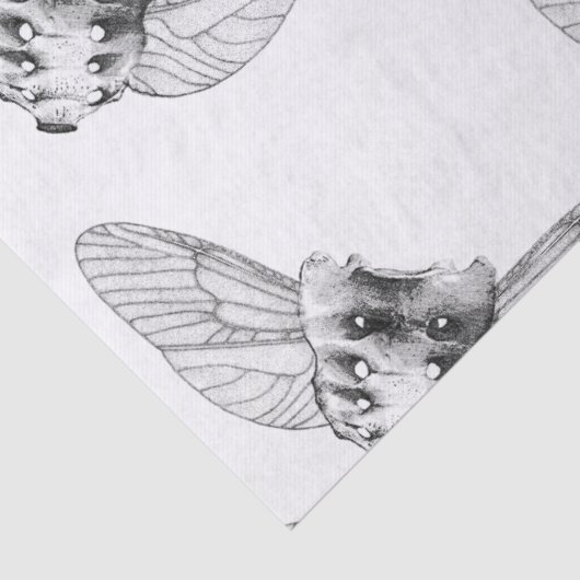 Apotheke Seidenpapier (Detail)