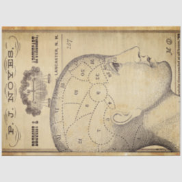 Apothekenpapier für Möbel Seidenpapier