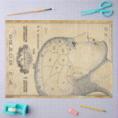 Apothekenpapier für Möbel Seidenpapier (Basteln)