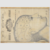 Apothekenpapier für Möbel Seidenpapier (Vorderseite)