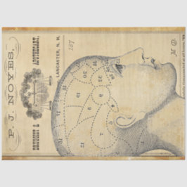 Apothekenpapier für Möbel Seidenpapier