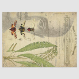 Apotheker Decoupage Gewebe Seidenpapier