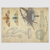 Apotheker Decoupage Gewebe Seidenpapier (Vorderseite)