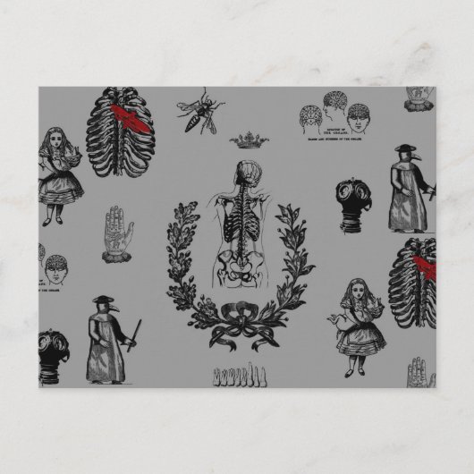 Apotheker Postkarte (Vorderseite)