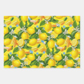 Apotheker Retro Citrus RX Muster Geschenkpapier Set (Vorderseite 2)
