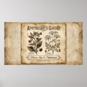 Apothekergarten Giftige Nachtschatten Poster (Vorne)