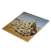 Apotheose des Krieges (Tod und Zerstörung) (Schäde Fliese (Seite)