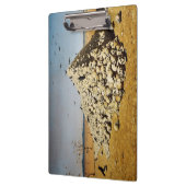 Apotheose des Krieges (Tod und Zerstörung) (Schäde Klemmbrett (Links)