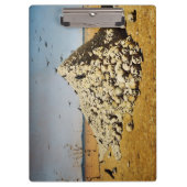 Apotheose des Krieges (Tod und Zerstörung) (Schäde Klemmbrett (Vorderseite)