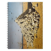 Apotheose des Krieges (Tod und Zerstörung) (Schäde Notizblock (Vorderseite)