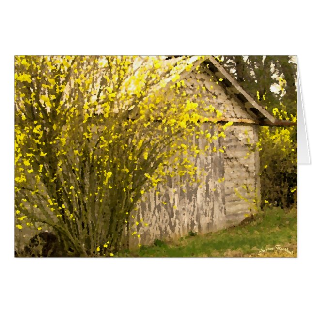 Appalachen-Frühling (Vorderseite (Horizontal))