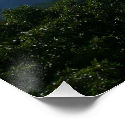 Appalachen II Shenandoah Poster (Ecke)