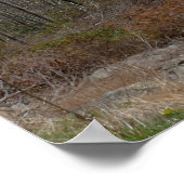 Appalachen im Frühling Poster (Ecke)