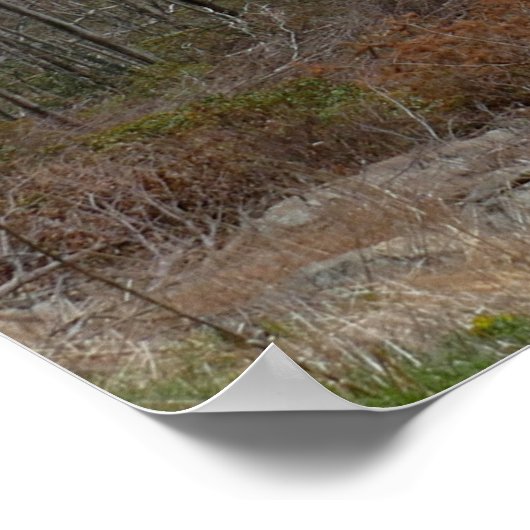 Appalachen im Frühling Poster (Ecke)