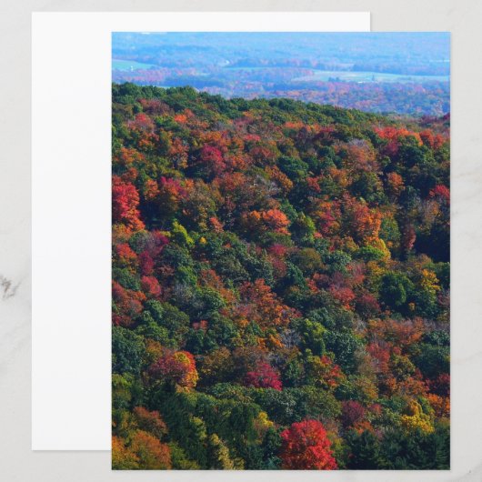 Appalachen im Herbst (Vorne/Hinten)