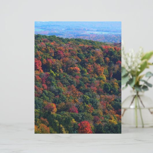 Appalachen im Herbst (Stehend Vorderseite)