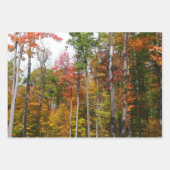 Appalachen im Herbst Geschenkpapier Set (Vorderseite 3)