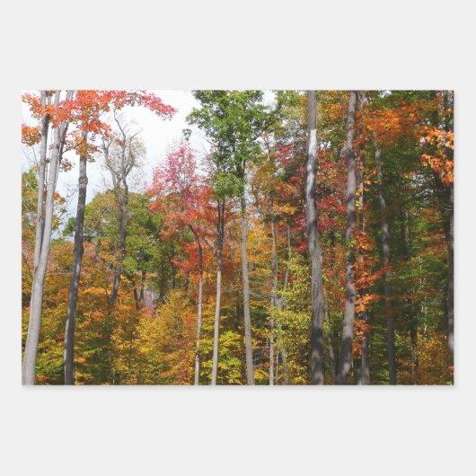 Appalachen im Herbst Geschenkpapier Set (Vorderseite 3)