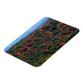 Appalachen im Herbst Magnet (Linke Seite)