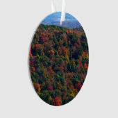 Appalachen im Herbst Ornament (Vorderseite)