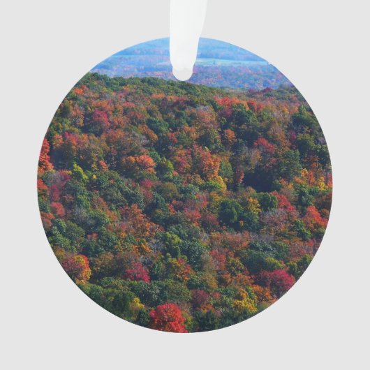 Appalachen im Herbst Ornament (Vorderseite)