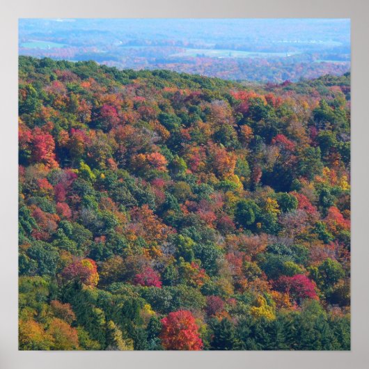 Appalachen im Herbst Poster (Vorne)