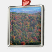 Appalachen im Herbst Silbernes Ornament (Links)