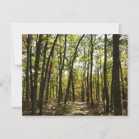 Appalachen-Pfad im Oktober in Shenandoah (Vorderseite)