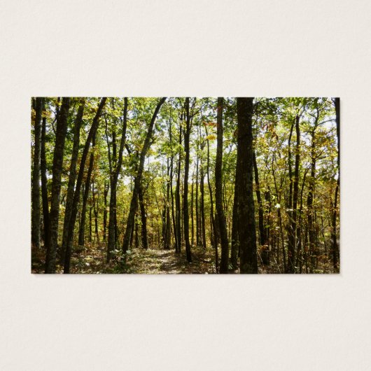 Appalachen-Pfad im Oktober in Shenandoah (Rückseite)