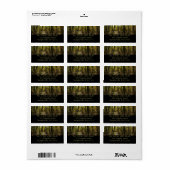 Appalachen-Pfad im Oktober in Shenandoah Adressaufkleber (Vorne)