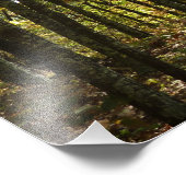 Appalachen-Pfad im Oktober in Shenandoah Fotodruck (Ecke)