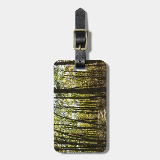 Appalachen-Pfad im Oktober in Shenandoah Gepäckanhänger (Vorderseite vertikal)